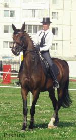 VIII Ежегодный областной конный фестиваль «ФАВОРИТ CHALLENGE» пройдет в Екатеринбурге